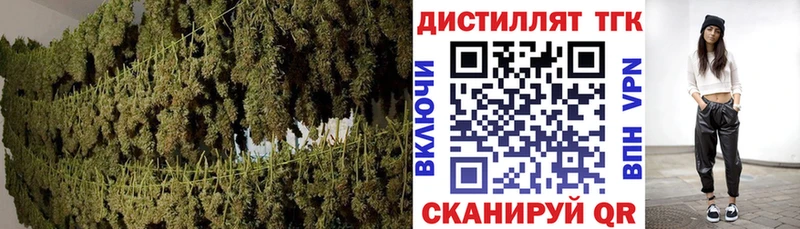 Купить где Рошаль Дистиллят ТГК гашишное масло
