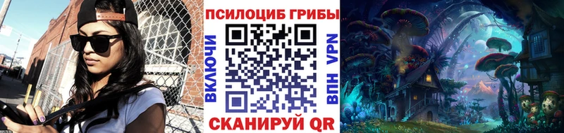 Купить где  Рошаль  Галлюциногенные грибы Psilocybine cubensis 